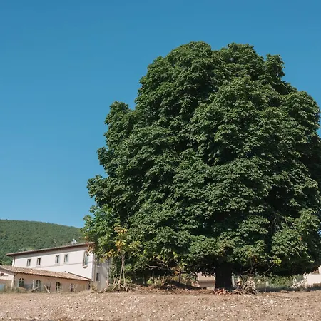 Country House Il Vecchio Ippocastano Ospedaletto (Perugia)